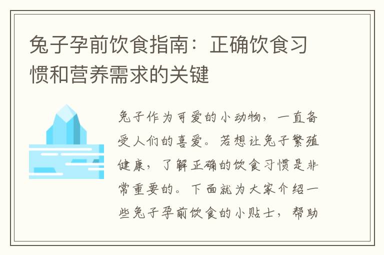 兔子孕前飲食指南：正確飲食習慣和營養需求的關鍵