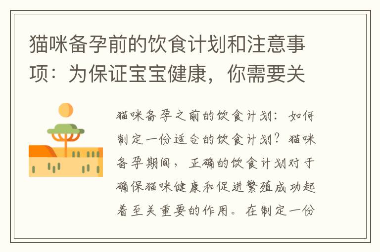 貓咪備孕前的飲食計劃和注意事項：為保證寶寶健康，你需要關注貓的飲食！