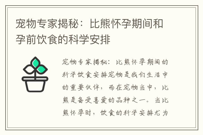 寵物專家揭秘：比熊懷孕期間和孕前飲食的科學安排