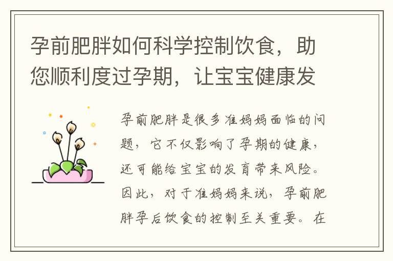 孕前肥胖如何科學控制飲食，助您順利度過孕期，讓寶寶健康發育