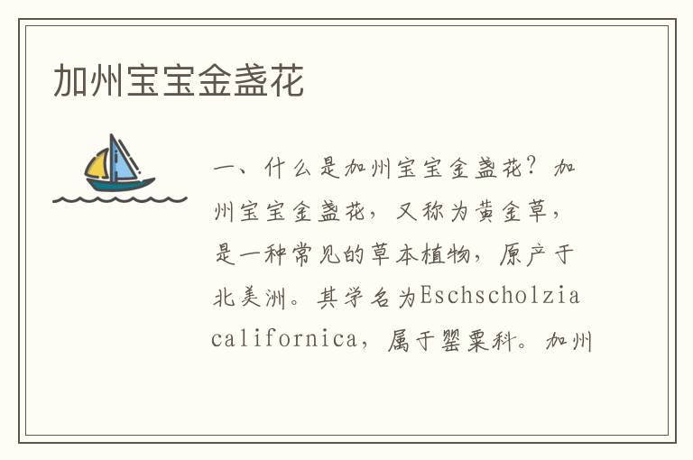 加州寶寶金盞花