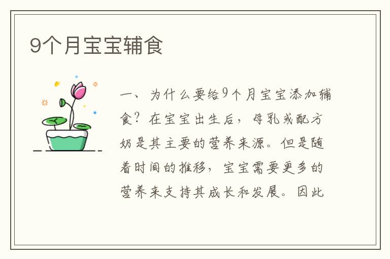 9個月寶寶輔食