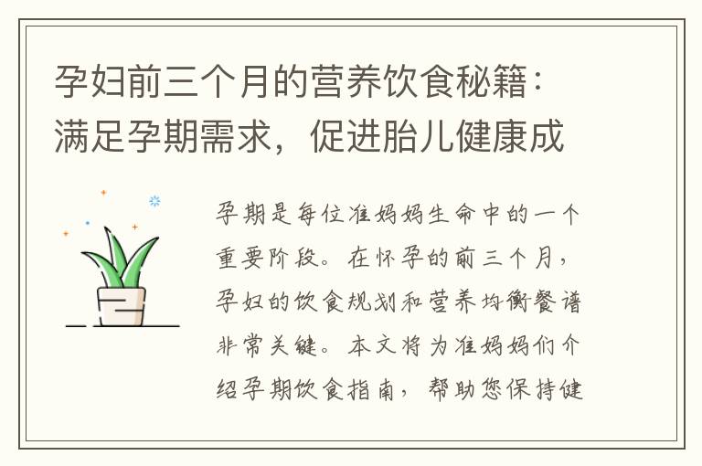 孕婦前三個月的營養飲食秘籍：滿足孕期需求，促進胎兒健康成長與準備工作推薦