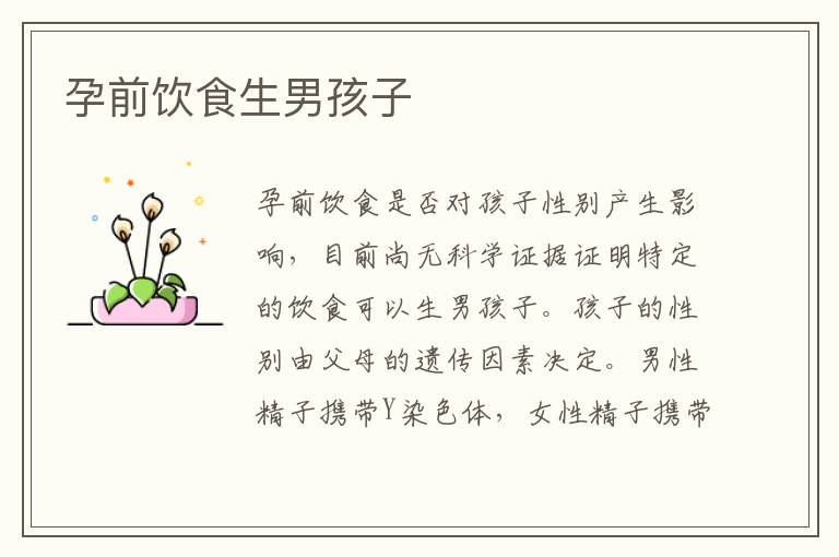 孕前飲食生男孩子