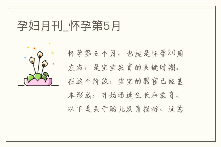 孕婦月刊_懷孕第5月