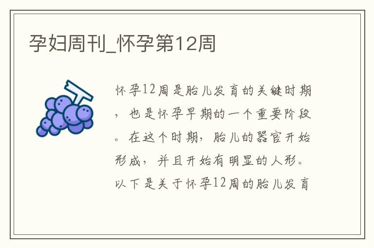 孕婦周刊_懷孕第12周