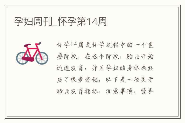 孕婦周刊_懷孕第14周