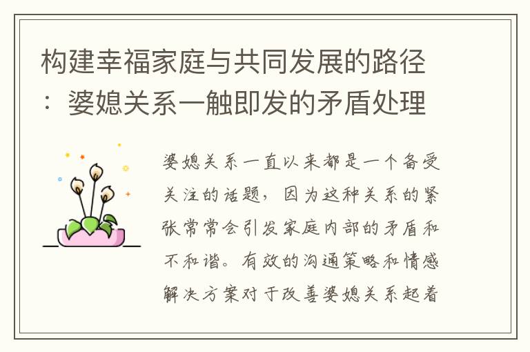 構建幸福家庭與共同發展的路徑：婆媳關系一觸即發的矛盾處理與家庭團結力