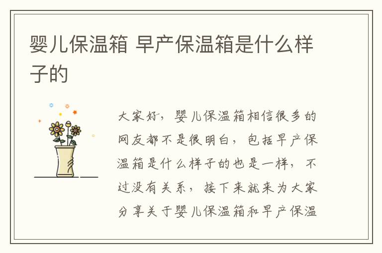 嬰兒保溫箱 早產保溫箱是什么樣子的