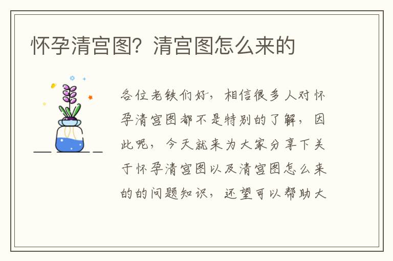 懷孕清宮圖？清宮圖怎么來的