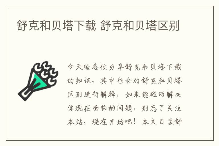 舒克和貝塔下載 舒克和貝塔區別