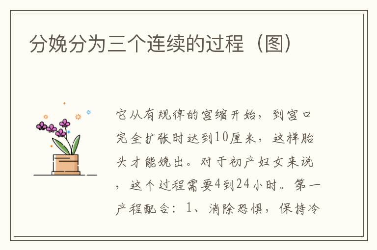 分娩分為三個連續的過程（圖）