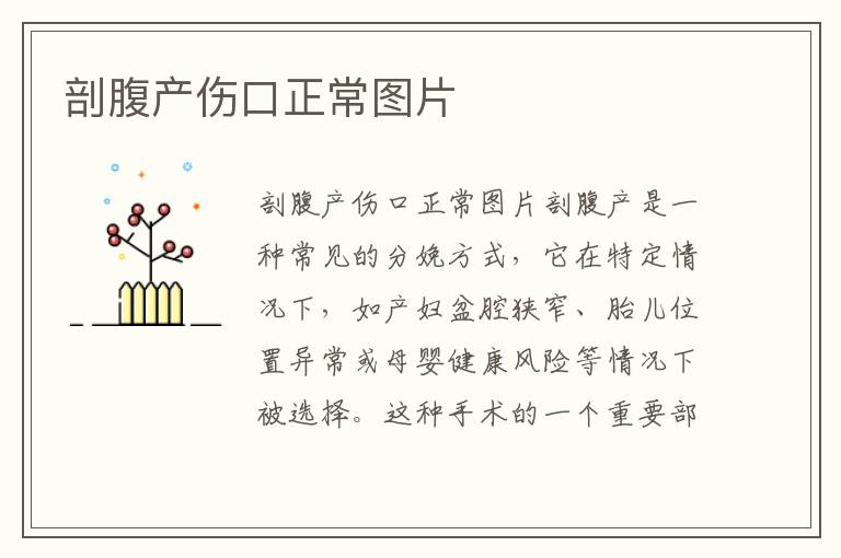 剖腹產傷口正常圖片