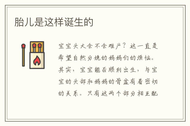 胎兒是這樣誕生的