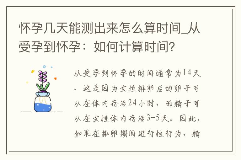 懷孕幾天能測出來怎么算時間_從受孕到懷孕：如何計算時間？