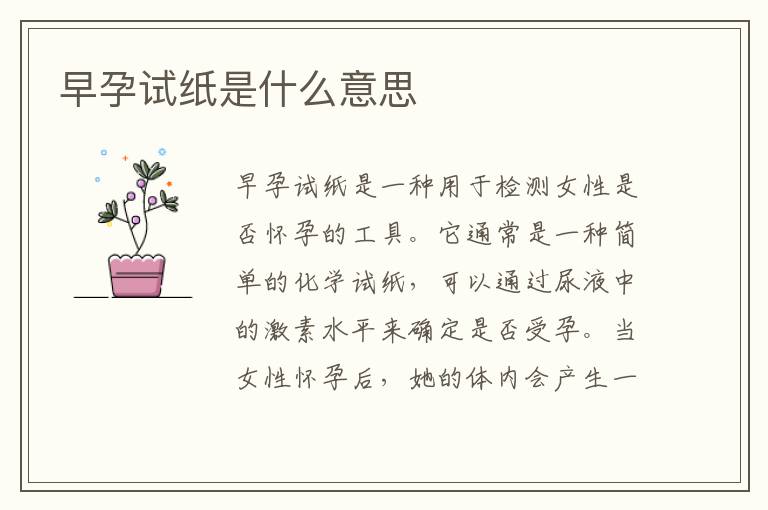 早孕試紙是什么意思