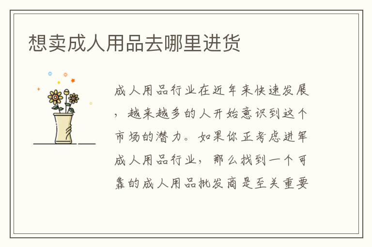 想賣成人用品去哪里進貨