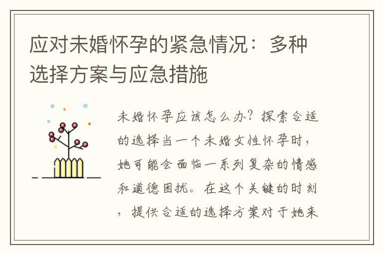 應對未婚懷孕的緊急情況：多種選擇方案與應急措施