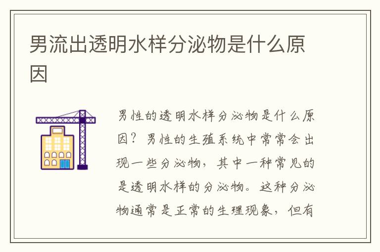 男流出透明水樣分泌物是什么原因
