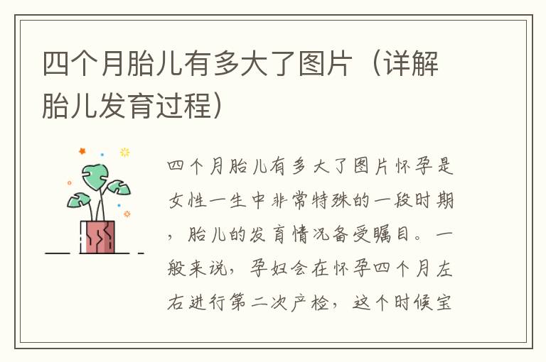 四個月胎兒有多大了圖片（詳解胎兒發育過程）