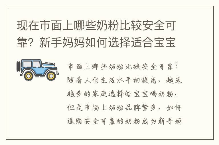 現在市面上哪些奶粉比較安全可靠？新手媽媽如何選擇適合寶寶的奶粉？