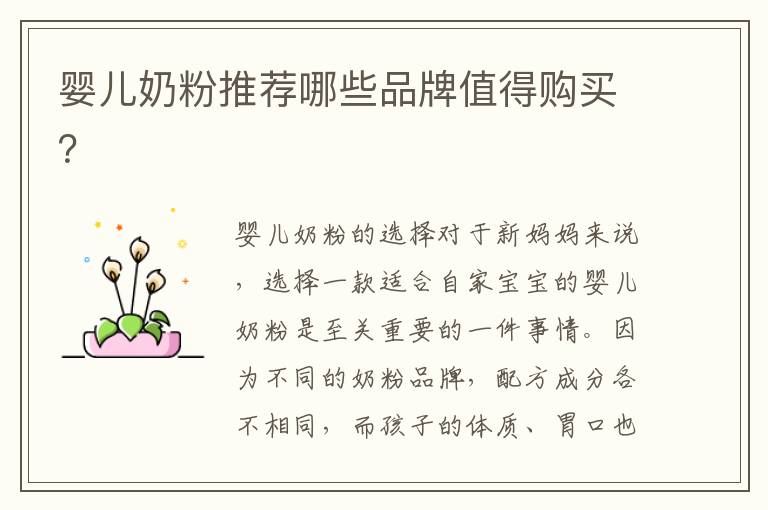 嬰兒奶粉推薦哪些品牌值得購買？
