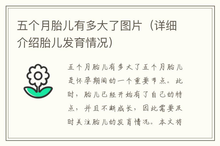 五個月胎兒有多大了圖片（詳細介紹胎兒發育情況）