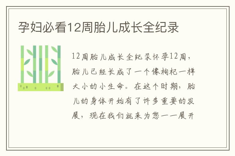 孕婦必看12周胎兒成長全紀錄