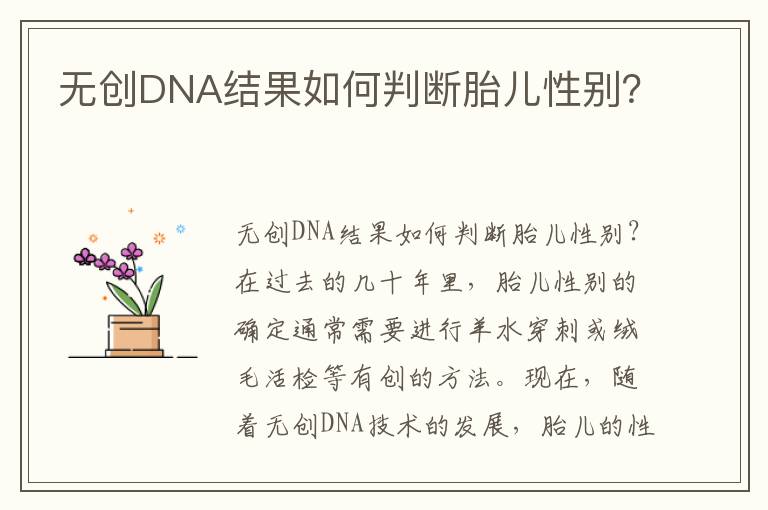 無創DNA結果如何判斷胎兒性別？