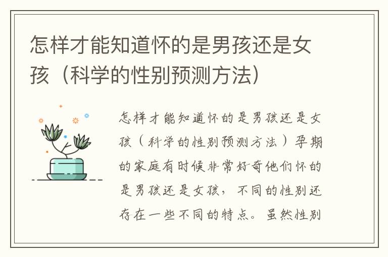 怎樣才能知道懷的是男孩還是女孩（科學的性別預測方法）