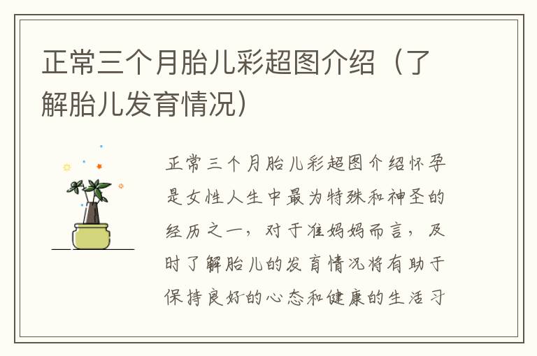 正常三個月胎兒彩超圖介紹（了解胎兒發育情況）