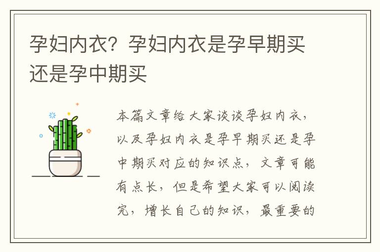 孕婦內衣？孕婦內衣是孕早期買還是孕中期買