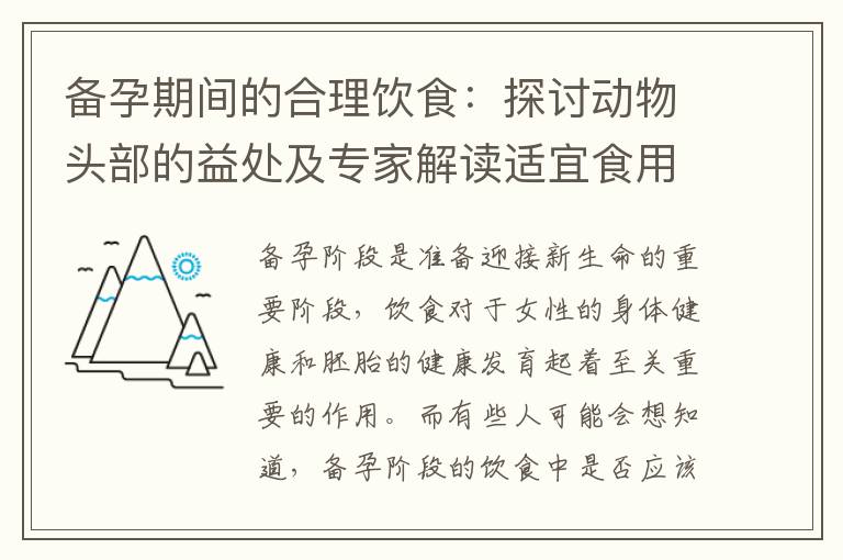 備孕期間的合理飲食：探討動物頭部的益處及專家解讀適宜食用與禁忌