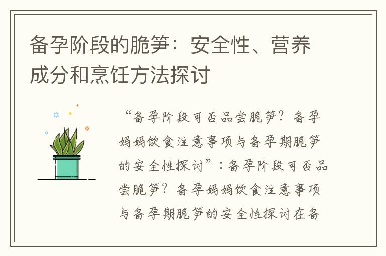 備孕階段的脆筍：安全性、營養成分和烹飪方法探討