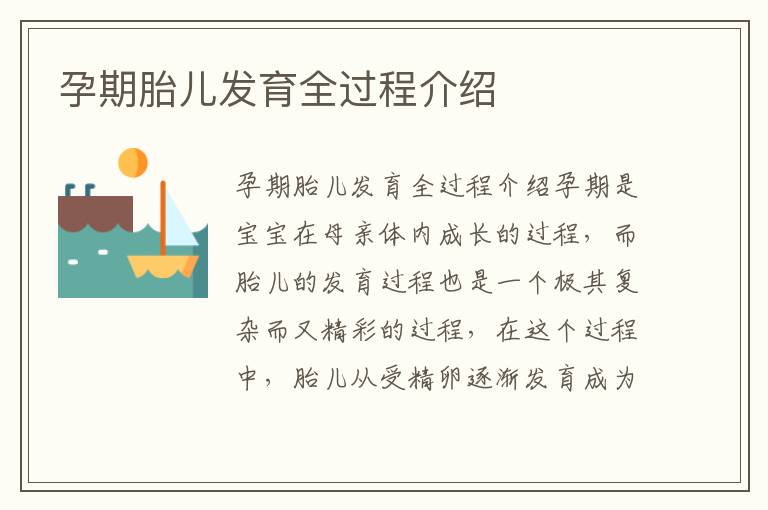 孕期胎兒發育全過程介紹