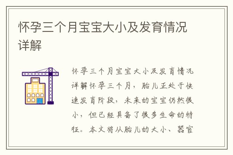 懷孕三個月寶寶大小及發育情況詳解