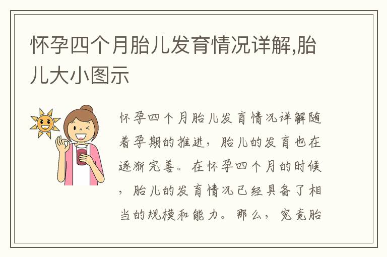 懷孕四個月胎兒發育情況詳解,胎兒大小圖示