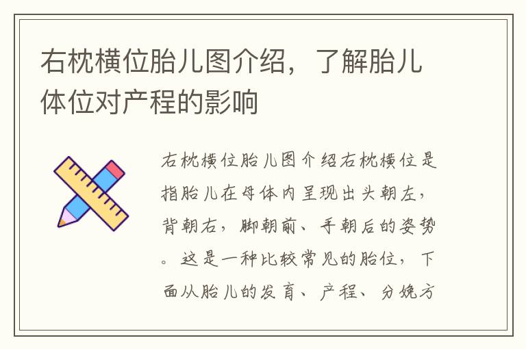 右枕橫位胎兒圖介紹，了解胎兒體位對產程的影響