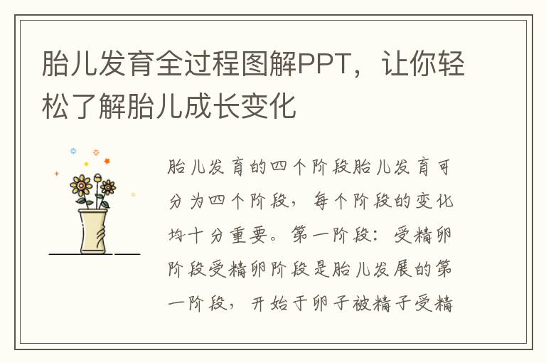 胎兒發育全過程圖解PPT，讓你輕松了解胎兒成長變化