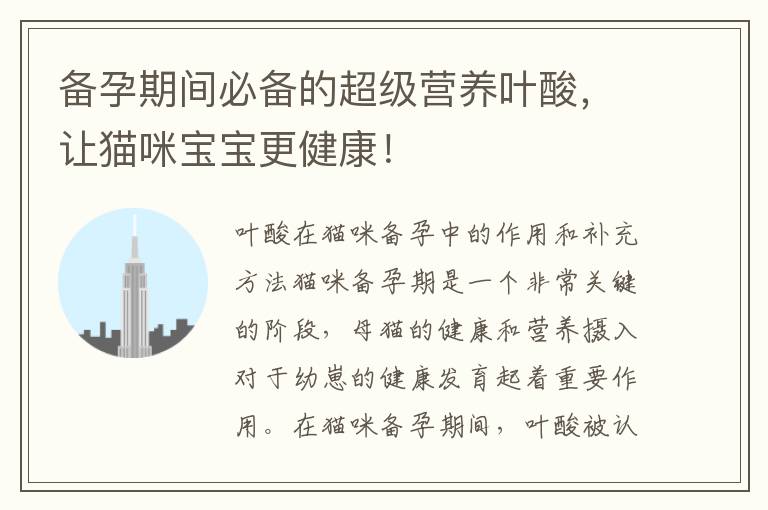 備孕期間必備的超級營養葉酸，讓貓咪寶寶更健康！