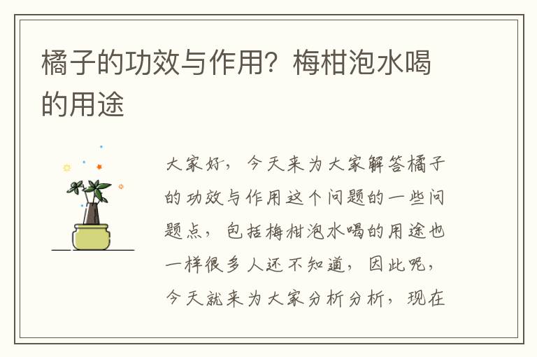 橘子的功效與作用？梅柑泡水喝的用途