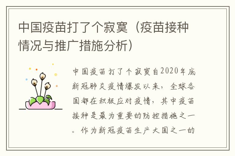 中國疫苗打了個寂寞（疫苗接種情況與推廣措施分析）