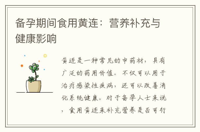 備孕期間食用黃連：營養補充與健康影響