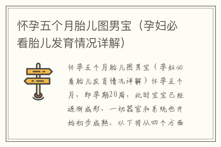 懷孕五個月胎兒圖男寶（孕婦必看胎兒發育情況詳解）