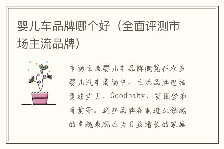 嬰兒車品牌哪個好（全面評測市場主流品牌）