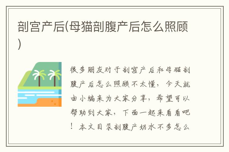 剖宮產后(母貓剖腹產后怎么照顧)