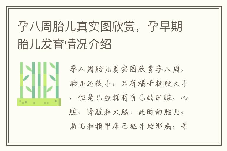 孕八周胎兒真實圖欣賞，孕早期胎兒發育情況介紹