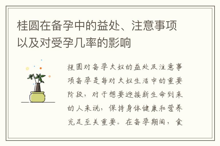 桂圓在備孕中的益處、注意事項以及對受孕幾率的影響