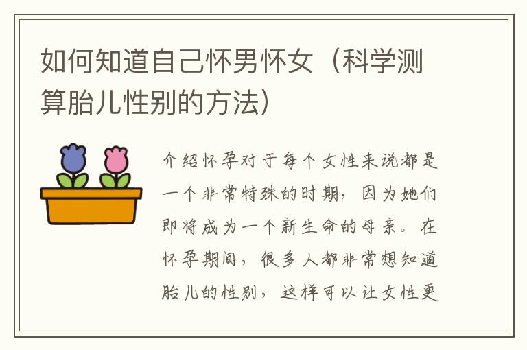 如何知道自己懷男懷女（科學測算胎兒性別的方法）