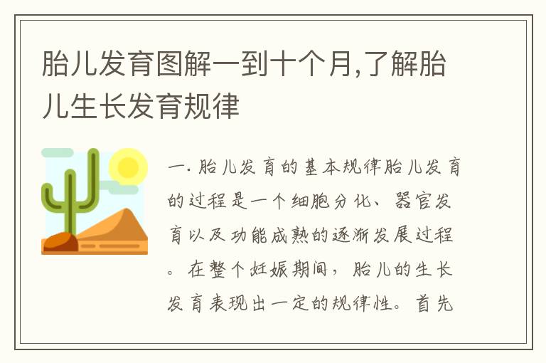 胎兒發育圖解一到十個月,了解胎兒生長發育規律